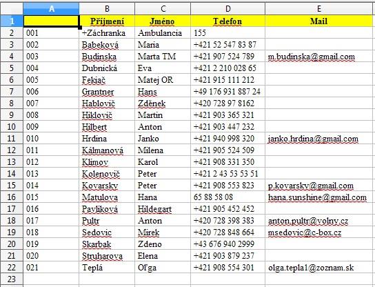 Seznam ve formátu Excel